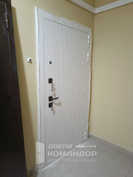 Входная дверь Президент Лайн Белый  Лана белый снег софт Двери Регионов