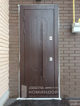 Входная дверь Stardis Termo с ручкой скобой